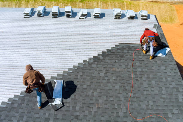 Best Roof Moss and Algae Removal  in Fort Belknap Agency, MT